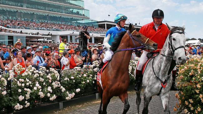 Admire Rakti with jockey Zac Purton is led out for the race last year. Picture: Colleen Petch.