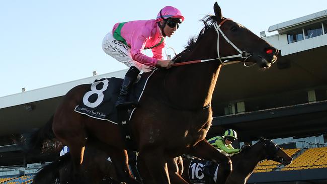 Amangiri had the Hawkes family in tears of joy after winning the Hawkesbury Gold Cup. Picture: Getty Images