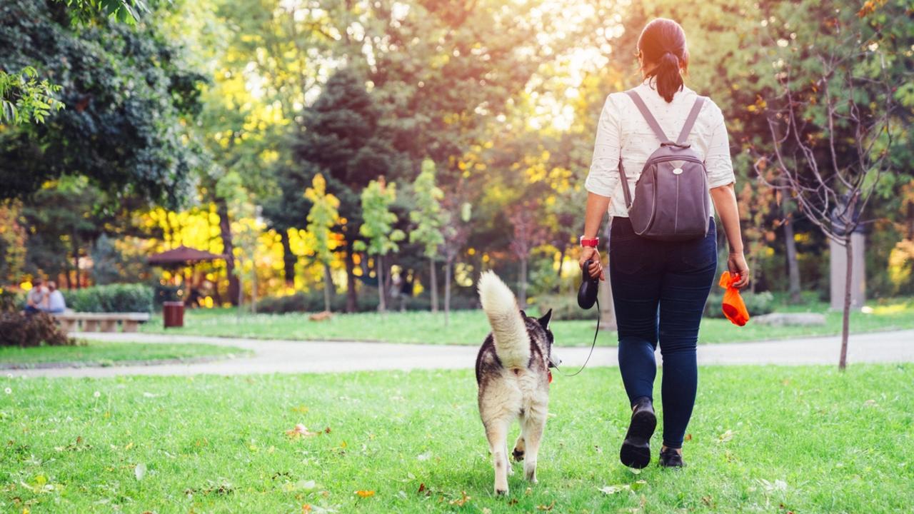 Is it ever OK to leave your dog’s poo on the ground? Picture: iStock