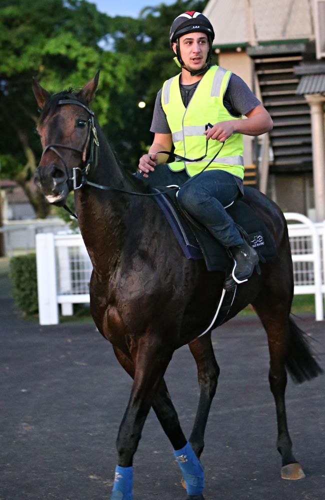 Provocative makes her way on the course proper at Eagle Farm. Picture: Annette Dew