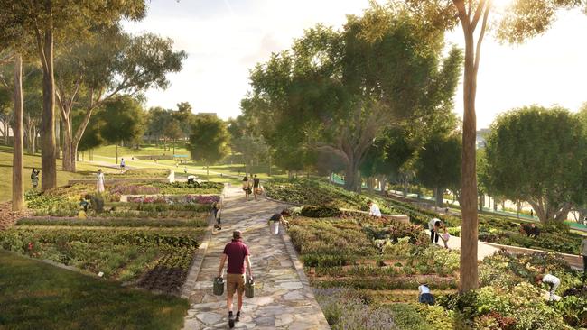 A community garden at the Victoria Park redevelopment. Picture: Supplied.