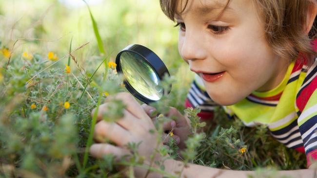 A happy little boy looking through magnifying glass on a sunny day.