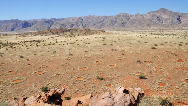 Sending science into a spin ... Aerial view of the mysterious fairy circles of Namibia. The enigmatic, bare patches within the grassland occur in millions at the transition to the Namib Desert. Picture: Dr. Stephan Getzin/UFZ