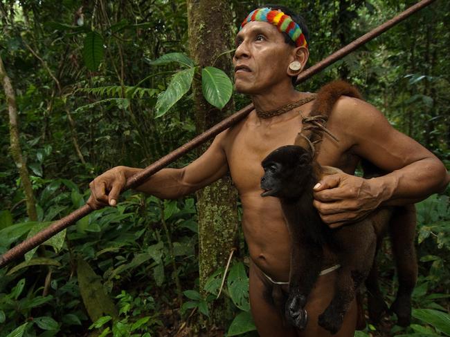 Images offering insight into the lives of the Huaorani people in the Ecuadorian Amazon have been revealed showing how they use traditional methods to hunt monkeys for food. Picture: Pete Oxford