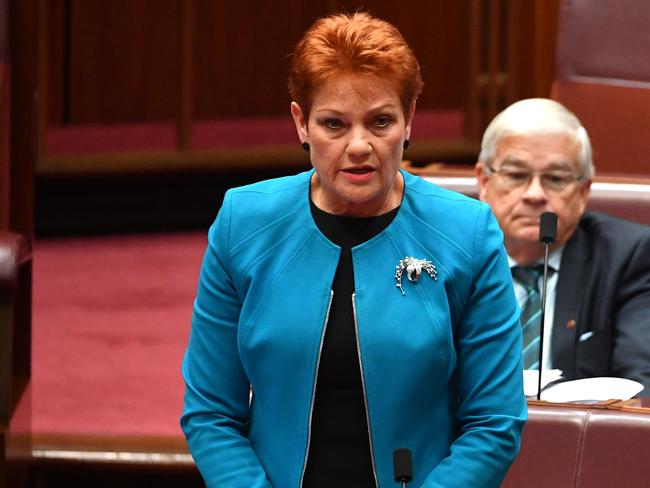 One Nation leader Senator Pauline Hanson’s policy has gained support from Dick Smith. Picture: Mick Tsikas.