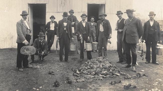 Rat hunters with rats killed in the fight against the bubonic plague in 1900. Picture: State Library of NSW