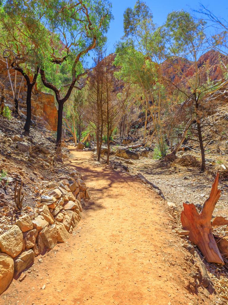 The footpath along the walking trail to get to Standley Chasm gorge.