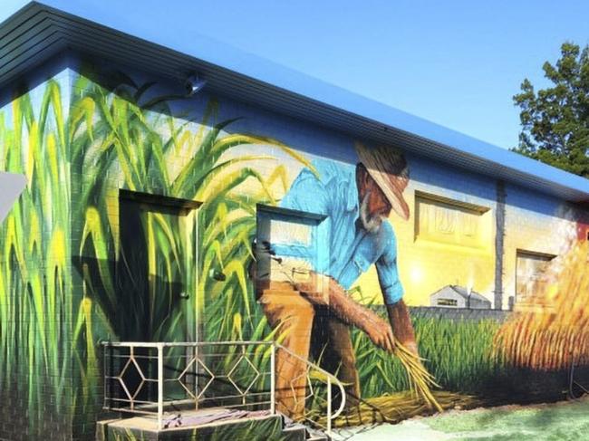 A recently completed mural at the entry to the 150-year-old Harwood Sugar Mill, west of Yamba, is stopping traffic and creating excitement in the little village with the oldest Australian owned sugar mill. Picture: supplied