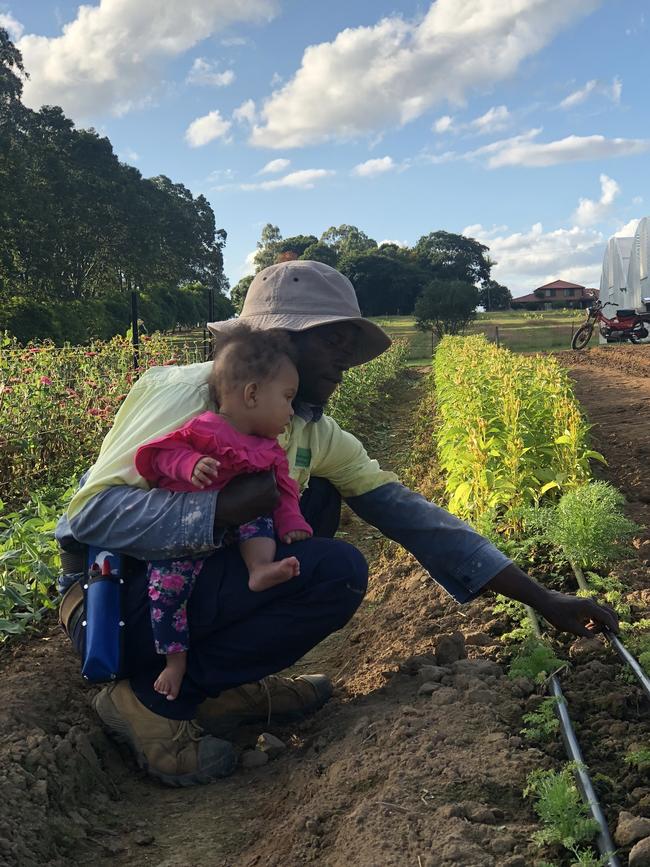 Fred and Africa at Wallflower Farm. Picture: @wallflower.farm