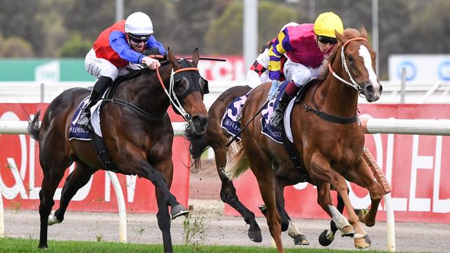 Hilal (left) is expected to run a much improved race in the Stan Fox Stakes at Randwick on Saturday. Picture: Racing Photos via Getty Images