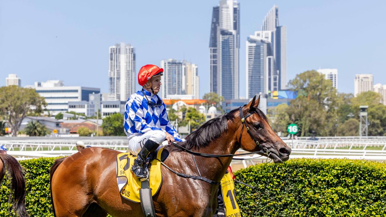 Action at Magic Millions race day. Picture: Luke Marsden.