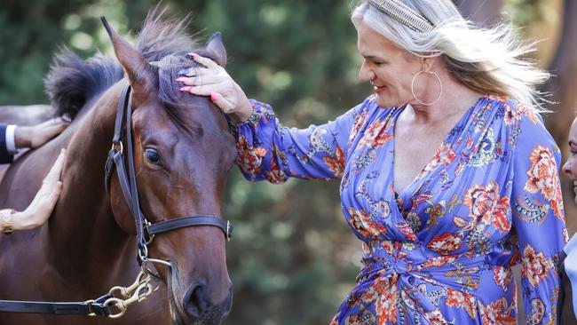 The Project Pride racehorse gets loving a pat from owner ambassador Danielle Laidley. Picture: David Caird