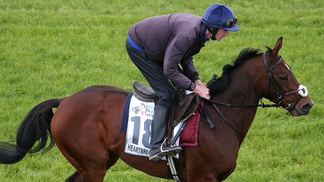 Heartbreak City has won four of his past five starts. Picture: Ian Currie