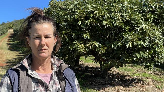 Gympie avocado farmer Kate Groves said her family farm, which she runs with her father John at Mary’s Creek, had been allocated half the the water the property needed.