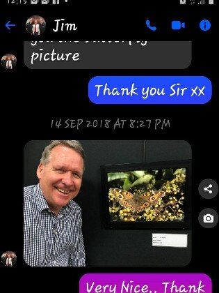 Queensland Labor MP Jim Madden bought a butterfly picture from a charity auction to give to his then-girlfriend Sarah Grist.