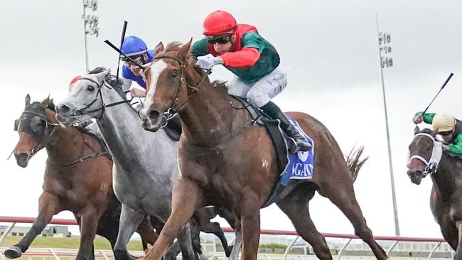 Carnival Row can improve on two impressive trials when he heads to Sandown on Wednesday. Picture: Racing Photos via Getty Images