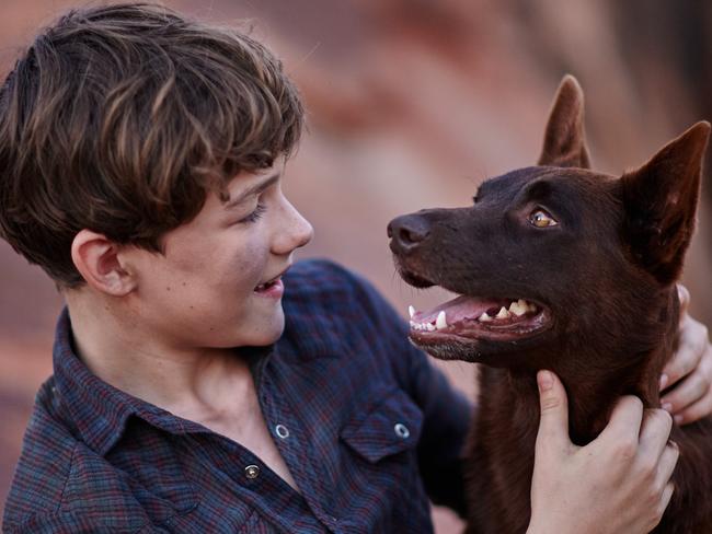 Actor Winta McGrath, who plays Nicholas Carter, with Red Dog in a scene from Red Dog: True Blue. Picture: Supplied