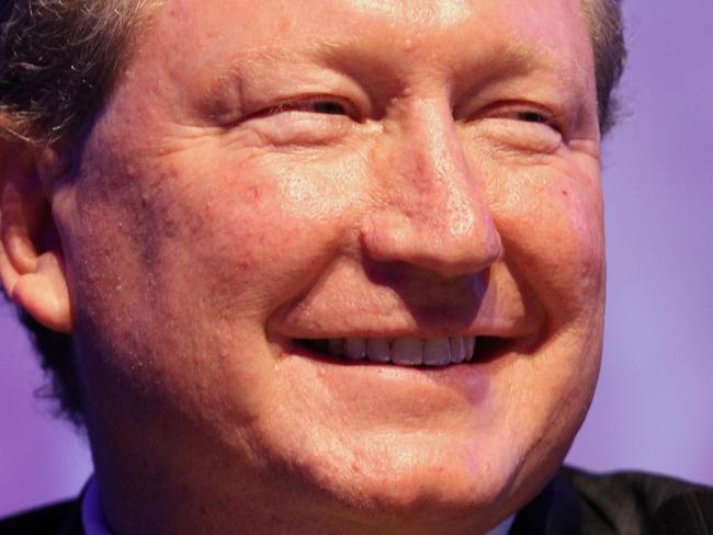 Chairman Andrew Forrest during the Fortescue Metals Group annual general meeting (AGM) at the Hyatt Regency Hotel, in Perth, Wednesday, Nov. 12, 2014. (AAP Image/Richard Wainwright) NO ARCHIVING