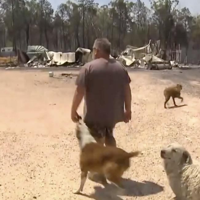 Jason, partner of Tayla McKenzie, surveys the devastation at their property in Tara after the fires. Photo: 7 News
