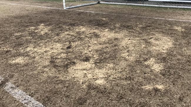 The Lex Bell Oval playing surface.