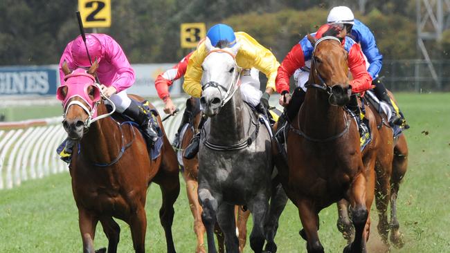 Race 5 — 2:45PM CFMEU MINING HANDICAP (1350 METRES). Winner 'Metallic Crown; ridden by Rory Hutchings.