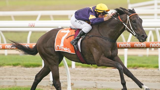 Mount Popa can end a long run of outs by winning the Neville Sellwood Stakes. Picture: Getty Images