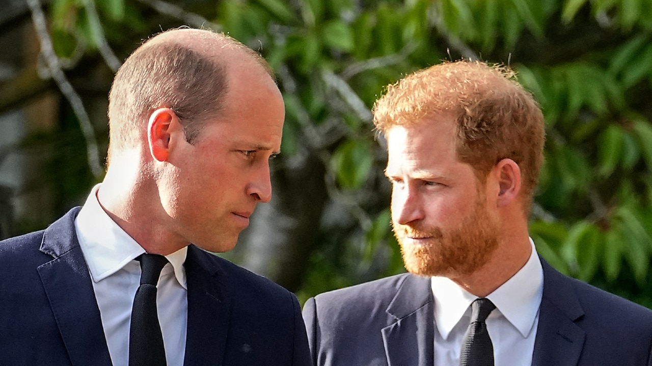 'Won't exchange a word': Prince Harry and brother William's relationship 'on its knees'