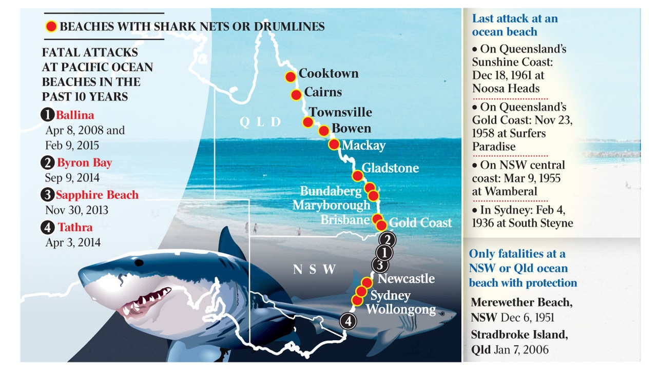 Call to ban shark nets ‘would put lives at risk’ | The Australian