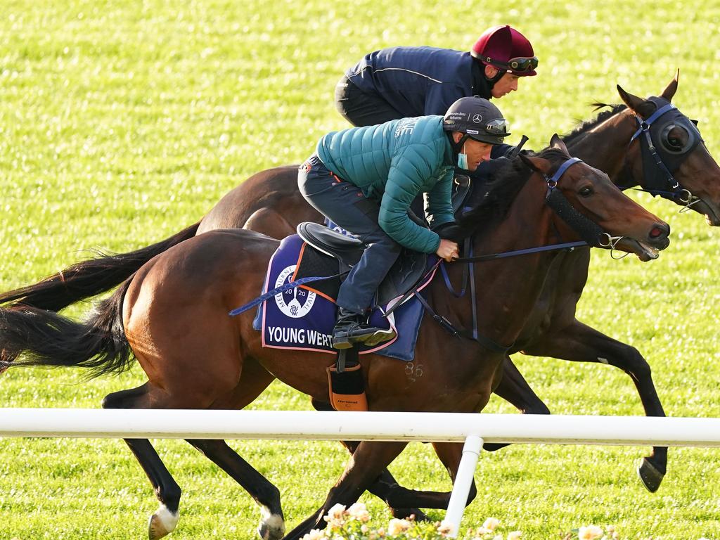 Young Werther during trackwork at Flemington Racecourse.