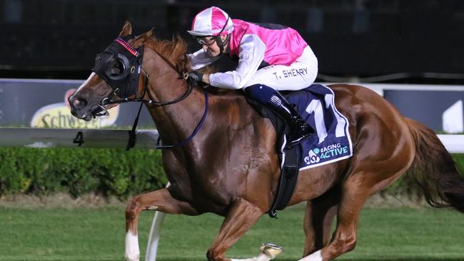 Expat looks hard to beat in Race 4 at Rosehill Gardens on Saturday. Picture: Grant Guy
