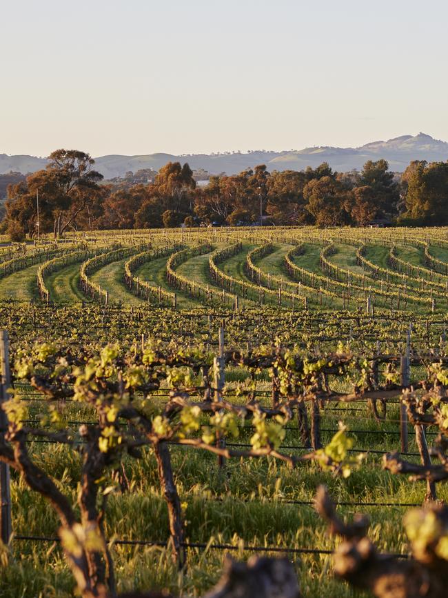 The Louise, Barossa Valley. Picture: George Apostolidis