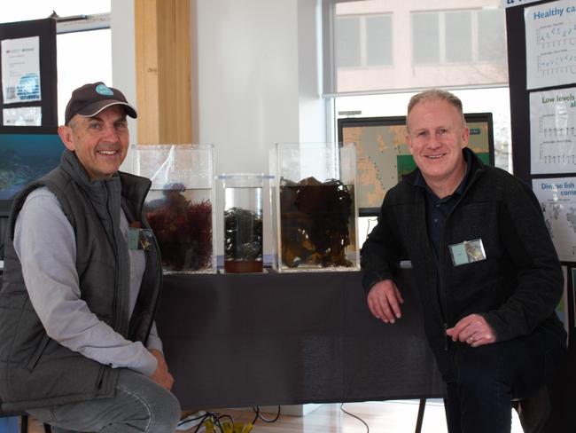 CSIRO senior research scientist Scott Condie and IMAS associate professor Jeff Ross with seaweed found in Tasmania's Storm Bay. Picture: Supplied