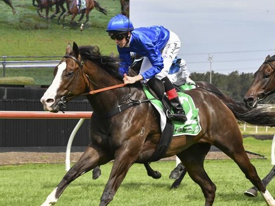 Flashy gelding Zaragoza can make a winning start to his career with new trainers Robert and luke Price at Kembla on Thursday. Picture: Bradley Photos