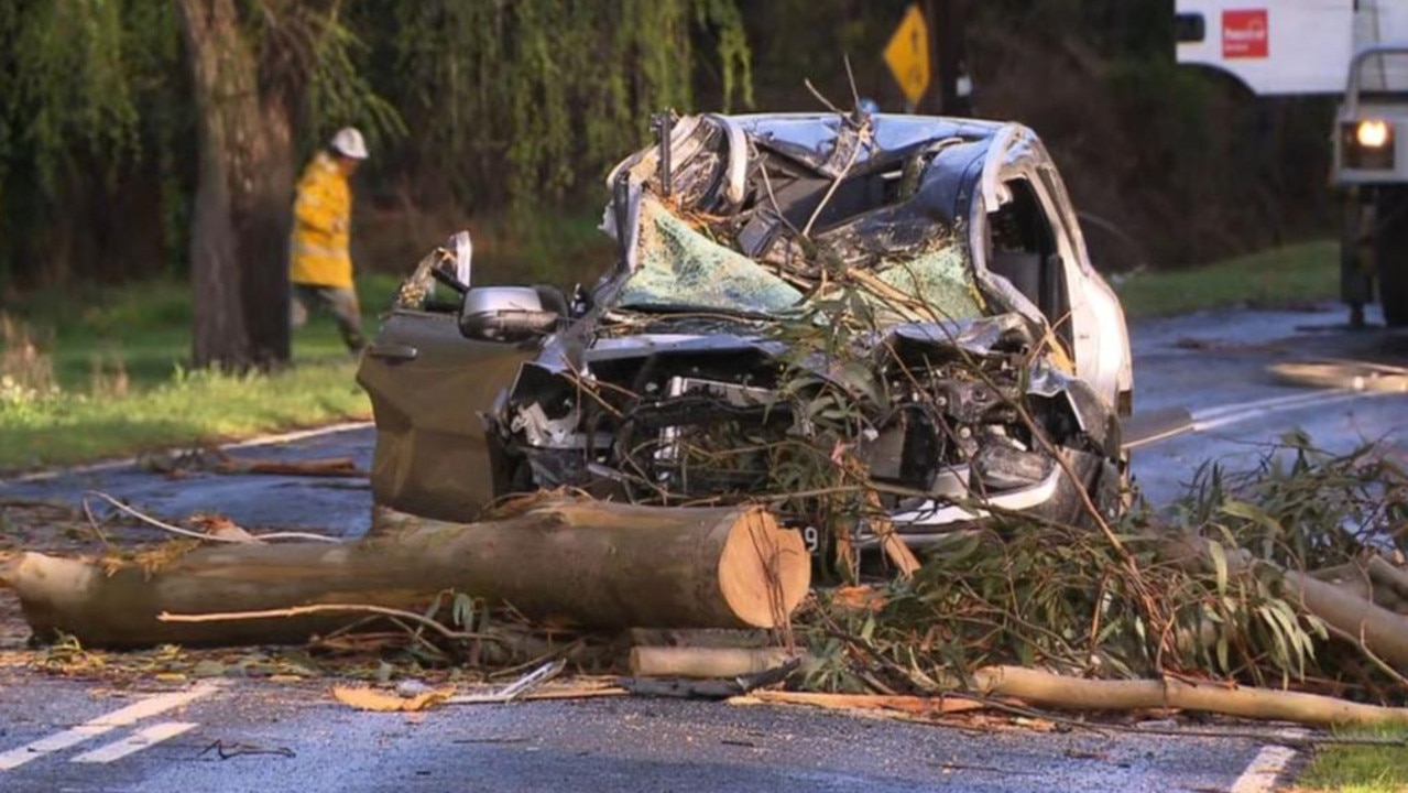 A man has died and his passenger taken to hospital after a tree fell on a car in Gellibrand on Wednesday. Picture: 7News