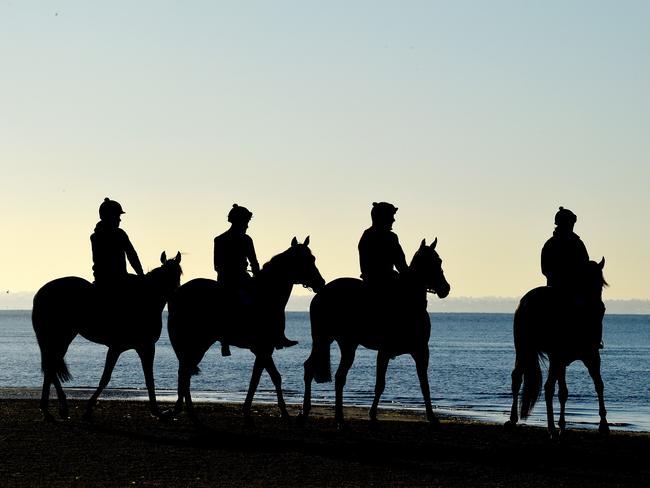 International horses have hit our shores for the Spring Racing Carnival. Michelle Payne on Kaspersky, Toby Atkinson on Mask of time, Michael Kent on Fastnet Tempest and Rob Archibald on Wall of Fire. Picture: Nicole Garmston