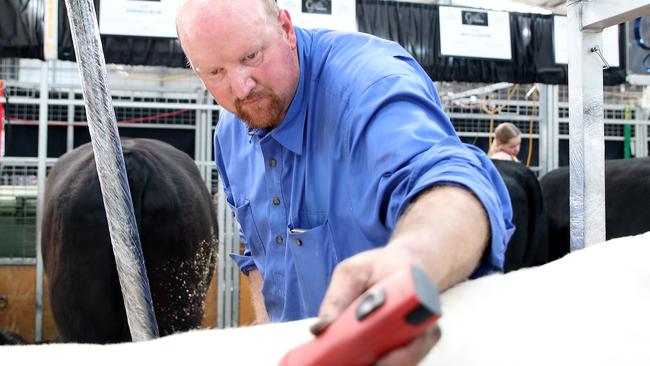 Melbourne Royal Show, Flemington, Tim Lord from Bowral NSW grooming.