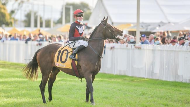 Jockey Ben Thompson brings 10 Purrfect Deal back to scale after winning the 2021 Grafton Cup at the Clarence River Jockey Club July Carnival.