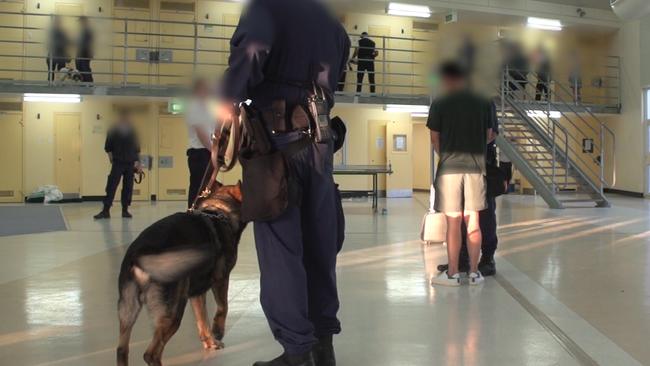 Corrective Services NSW image of raids at Parklea Prison in 2015. If this officer is new he would be called a ‘baggie’.