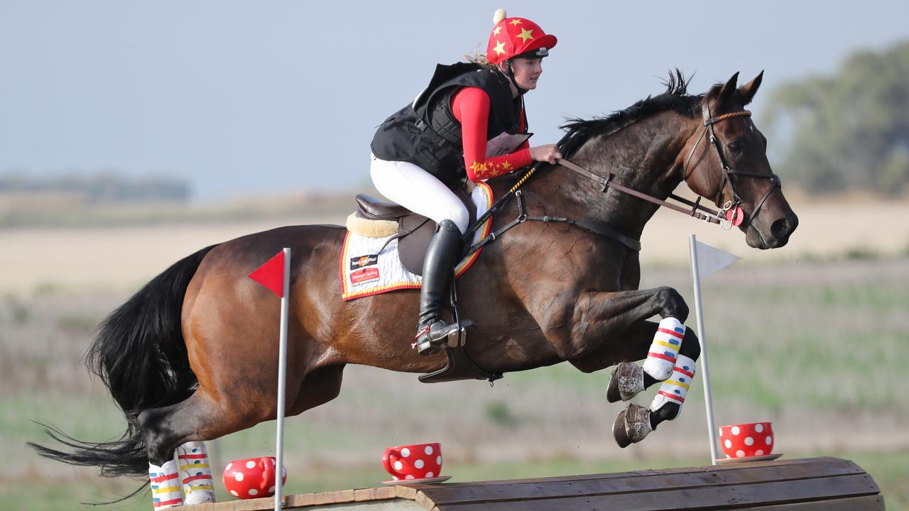 Geelong Horse Trials High entry numbers at Barwonleigh The Weekly Times