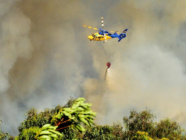 Water bombing near Coolum.