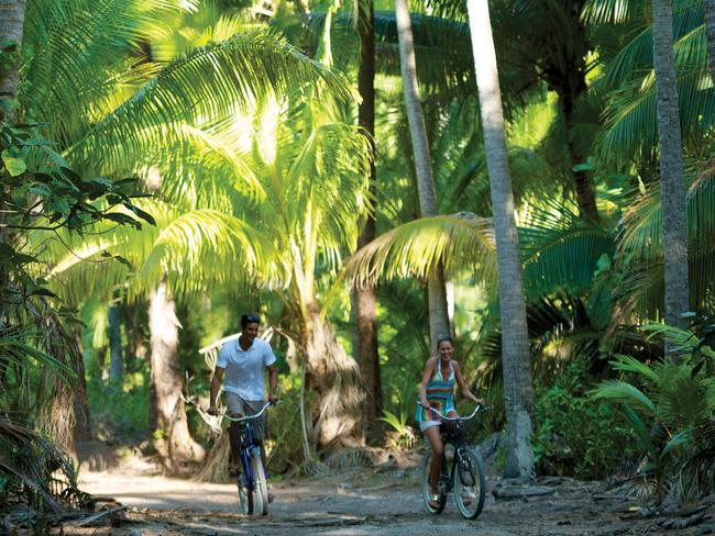 Cycling through the coconut trees. Picture: Supplied