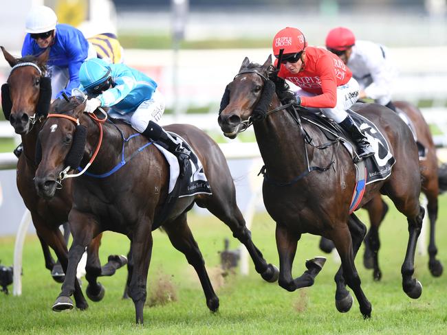 Moss Trip’s (red silks) incredible win in the J H B Carr Stakes. Picture: AAP