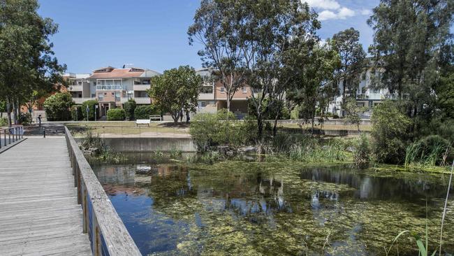 Snakes are drawn to Pemulwuy’s waterways. Picture: Troy Snook