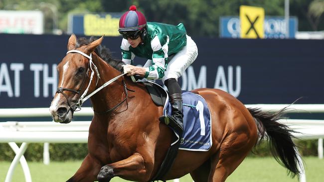 Via Sistina was taken for a spin around Royal Randwick on Saturday. Picture: Jeremy Ng-Getty Images