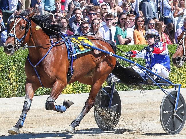 Tough Monarch (right) wins the Group 1 trotters’ free-for-all from McLovin in Addington, New Zealand on Tuesday, November 12, 2019. Picture: SUPPLIED