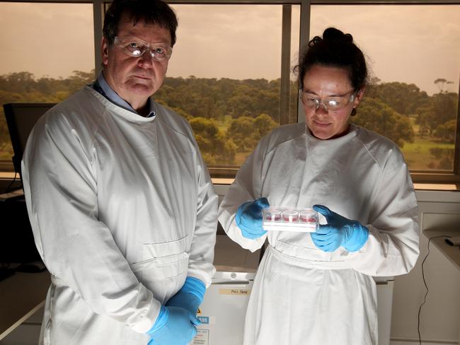 Professor Trevor Drew, Director of the CSIRO's Australian Animal Health Laboratory, in Geelong, with Experimental Scientist Christina Rootes. Picture: Stuart McEvoy/The Australian