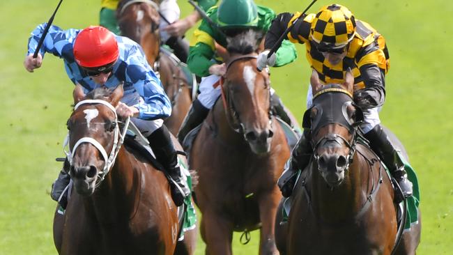 Funstar will be out to turn the tables on probabeel in the Phar Lap Stakes. Picture: AAP