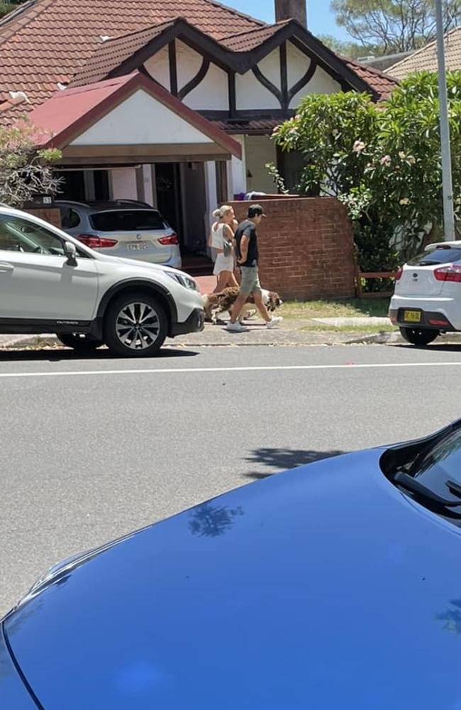 Experts have issued a warning for pet owners after this photo went viral. Picture: Facebook