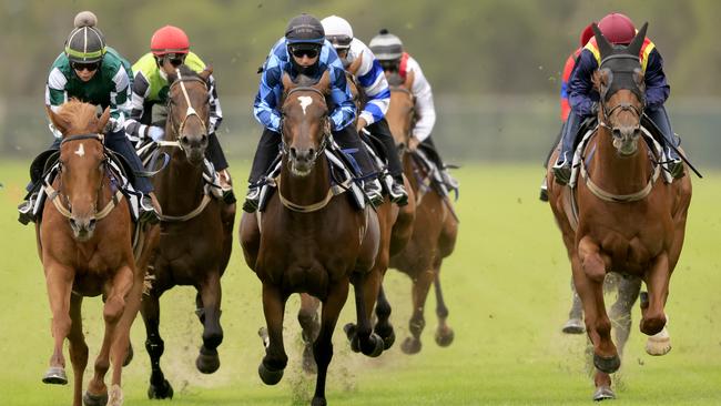 Hungry Heart (left) winning Friday’s barrier trial at Rosehill from Nature Strip (far right). Picture: Mark Evans