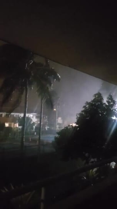 Trees Sway in the Wind as Intense Weather Hits the Gold Coast